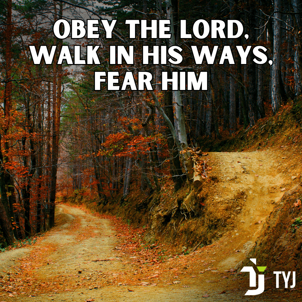 Deuteronomy 6, wholehearted commitment, trust God in business, Christian living, spiritual growth, obedience to God, faith journey, temptation and faith, overthinking and faith, God’s promises